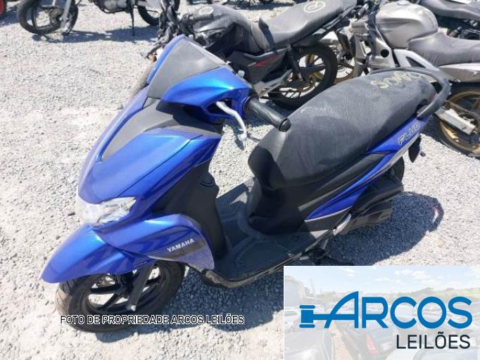 YAMAHA FLUO 22/23